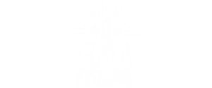 festas4